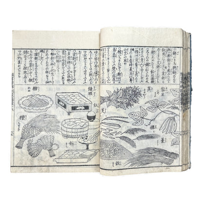 訓蒙図彙大成｜Edo Multi-Volume Illustrated Natural History Encyclopedia｜Rare Japanese Woodblock Book 和本 - B122