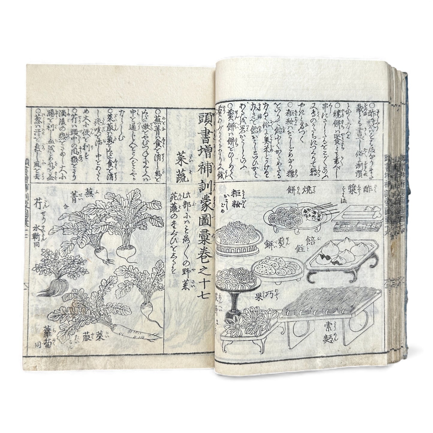 訓蒙図彙大成｜Edo Multi-Volume Illustrated Natural History Encyclopedia｜Rare Japanese Woodblock Book 和本 - B122