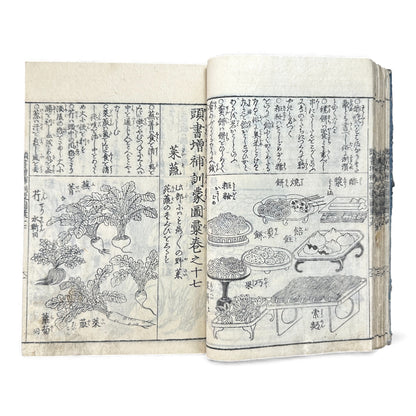 訓蒙図彙大成｜Edo Multi-Volume Illustrated Natural History Encyclopedia｜Rare Japanese Woodblock Book 和本 - B122