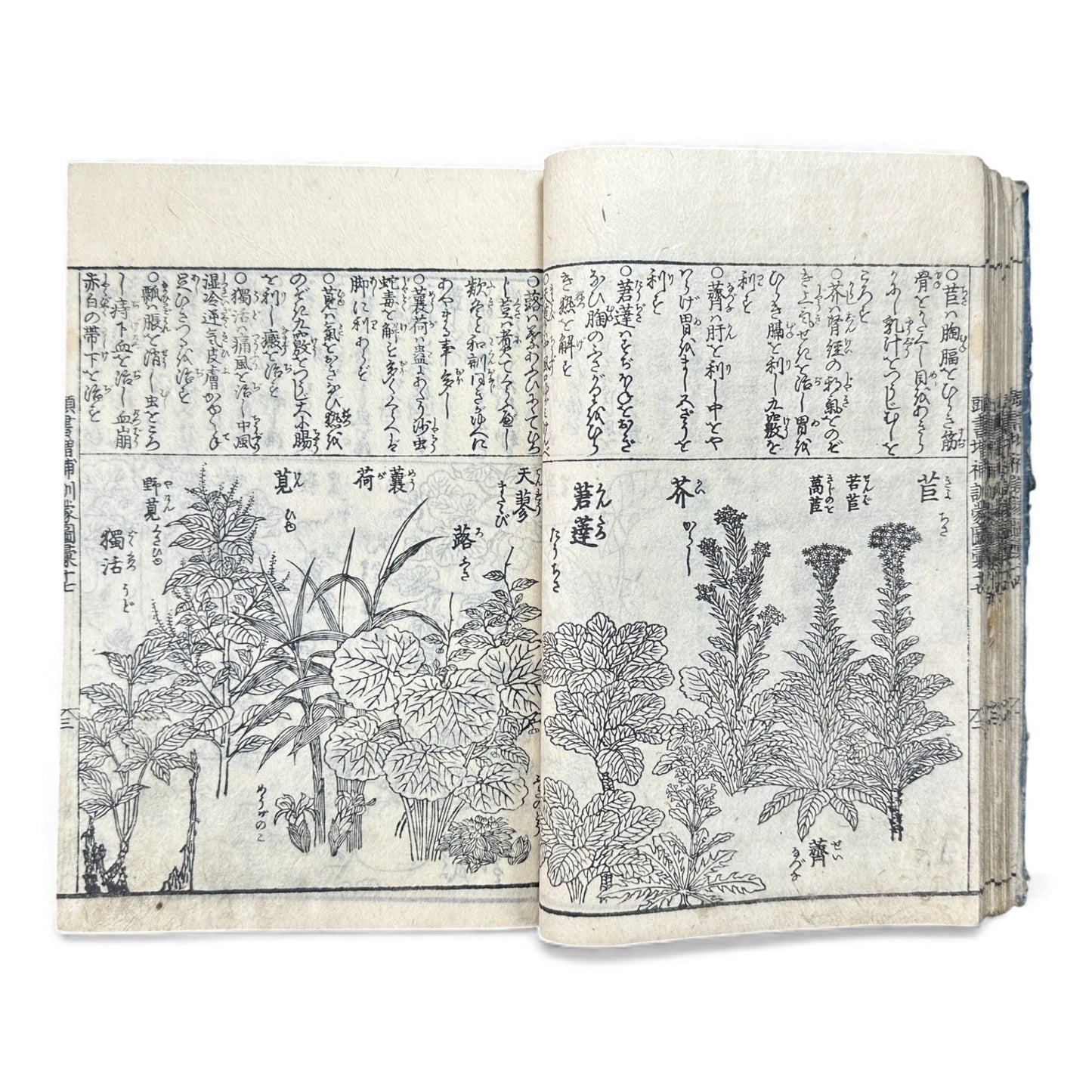 訓蒙図彙大成｜Edo Multi-Volume Illustrated Natural History Encyclopedia｜Rare Japanese Woodblock Book 和本 - B122