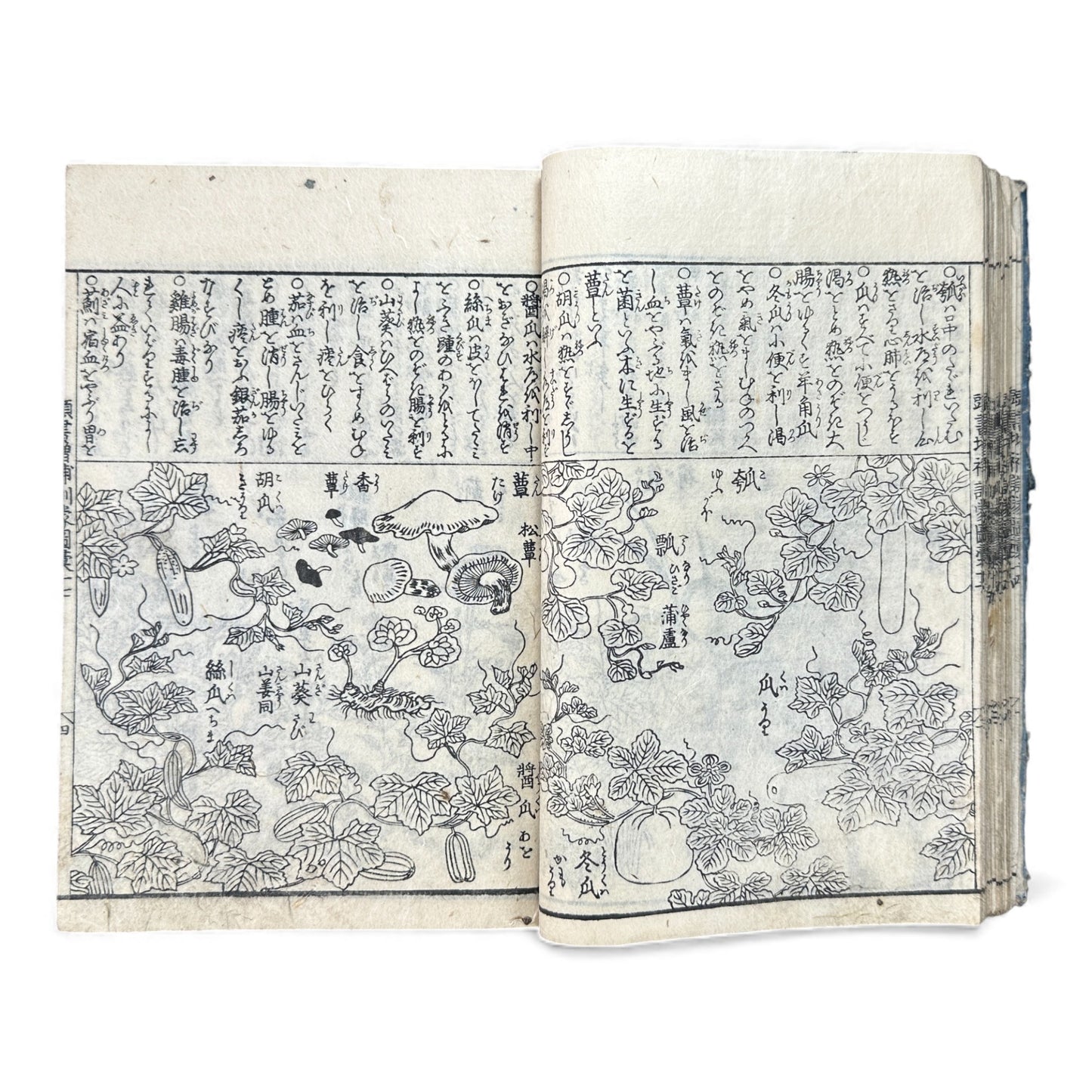 訓蒙図彙大成｜Edo Multi-Volume Illustrated Natural History Encyclopedia｜Rare Japanese Woodblock Book 和本 - B122