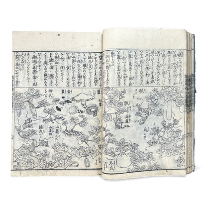 訓蒙図彙大成｜Edo Multi-Volume Illustrated Natural History Encyclopedia｜Rare Japanese Woodblock Book 和本 - B122