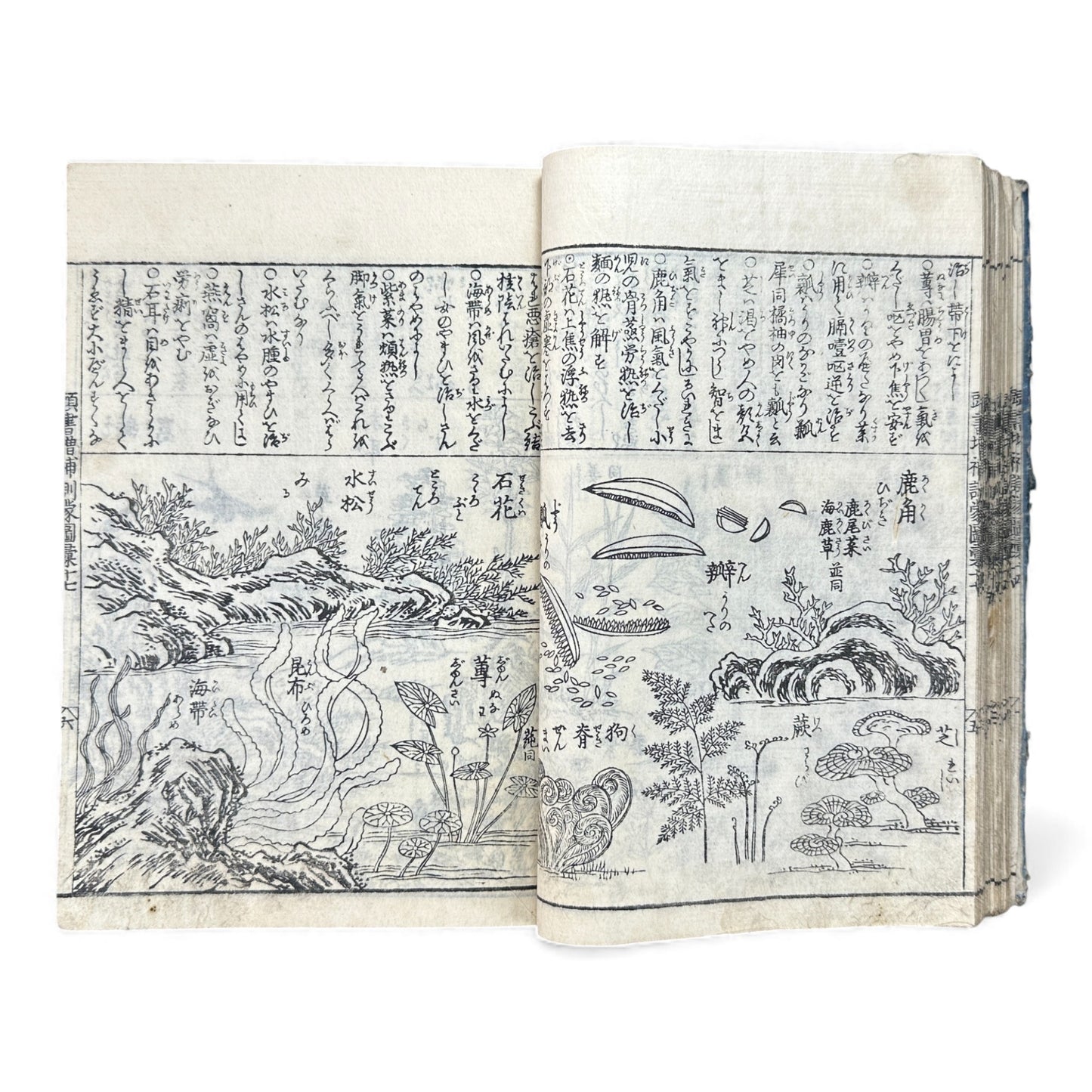 訓蒙図彙大成｜Edo Multi-Volume Illustrated Natural History Encyclopedia｜Rare Japanese Woodblock Book 和本 - B122