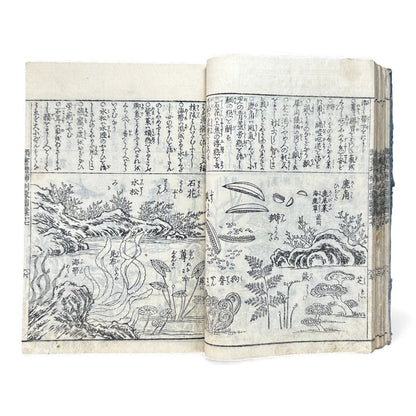 訓蒙図彙大成｜Edo Multi-Volume Illustrated Natural History Encyclopedia｜Rare Japanese Woodblock Book 和本 - B122