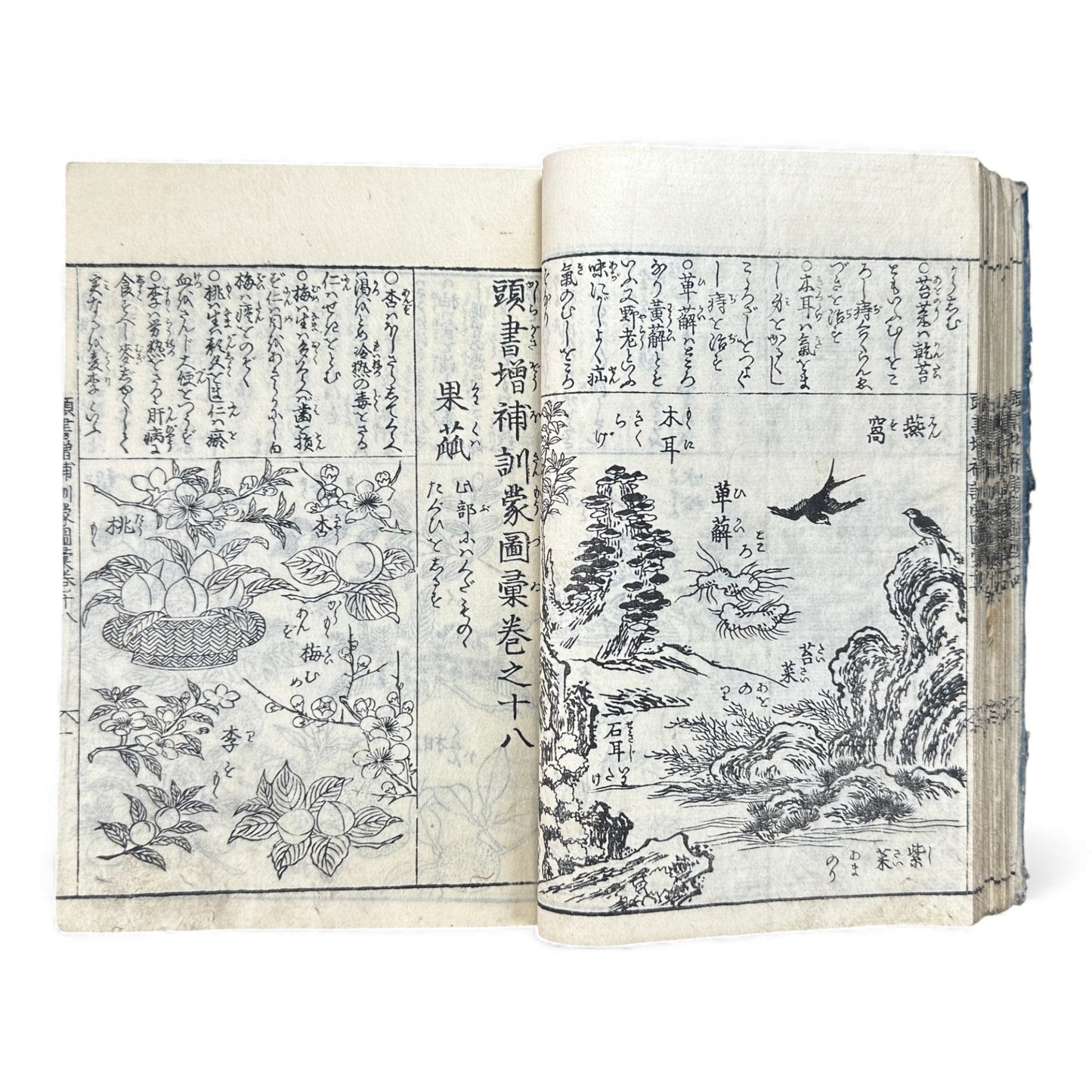 訓蒙図彙大成｜Edo Multi-Volume Illustrated Natural History Encyclopedia｜Rare Japanese Woodblock Book 和本 - B122