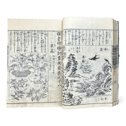 訓蒙図彙大成｜Edo Multi-Volume Illustrated Natural History Encyclopedia｜Rare Japanese Woodblock Book 和本 - B122