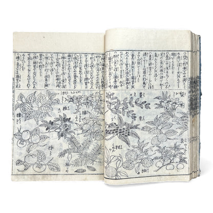 訓蒙図彙大成｜Edo Multi-Volume Illustrated Natural History Encyclopedia｜Rare Japanese Woodblock Book 和本 - B122