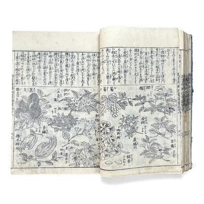 訓蒙図彙大成｜Edo Multi-Volume Illustrated Natural History Encyclopedia｜Rare Japanese Woodblock Book 和本 - B122