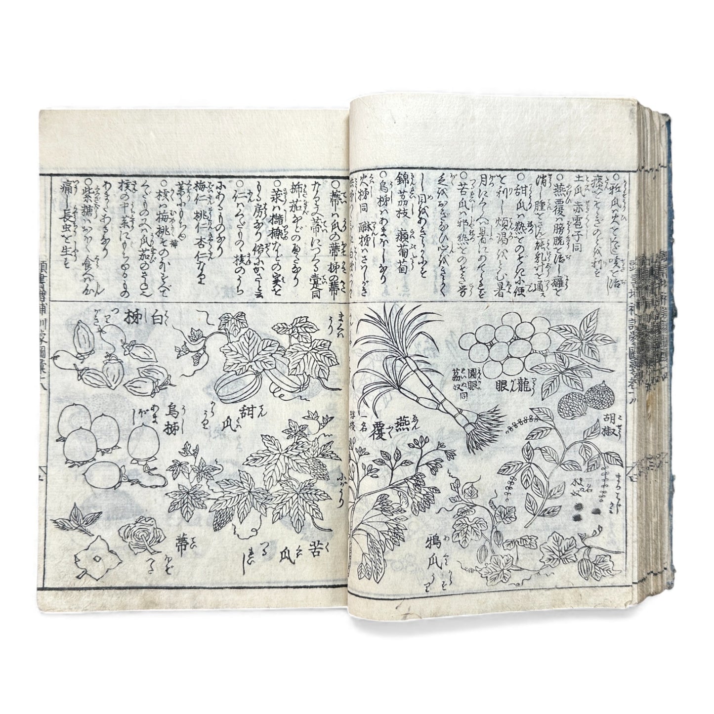 訓蒙図彙大成｜Edo Multi-Volume Illustrated Natural History Encyclopedia｜Rare Japanese Woodblock Book 和本 - B122