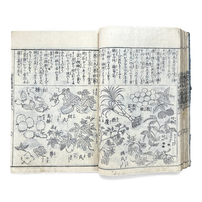 訓蒙図彙大成｜Edo Multi-Volume Illustrated Natural History Encyclopedia｜Rare Japanese Woodblock Book 和本 - B122