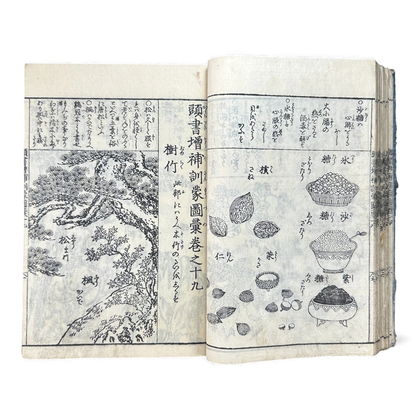 訓蒙図彙大成｜Edo Multi-Volume Illustrated Natural History Encyclopedia｜Rare Japanese Woodblock Book 和本 - B122