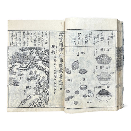訓蒙図彙大成｜Edo Multi-Volume Illustrated Natural History Encyclopedia｜Rare Japanese Woodblock Book 和本 - B122