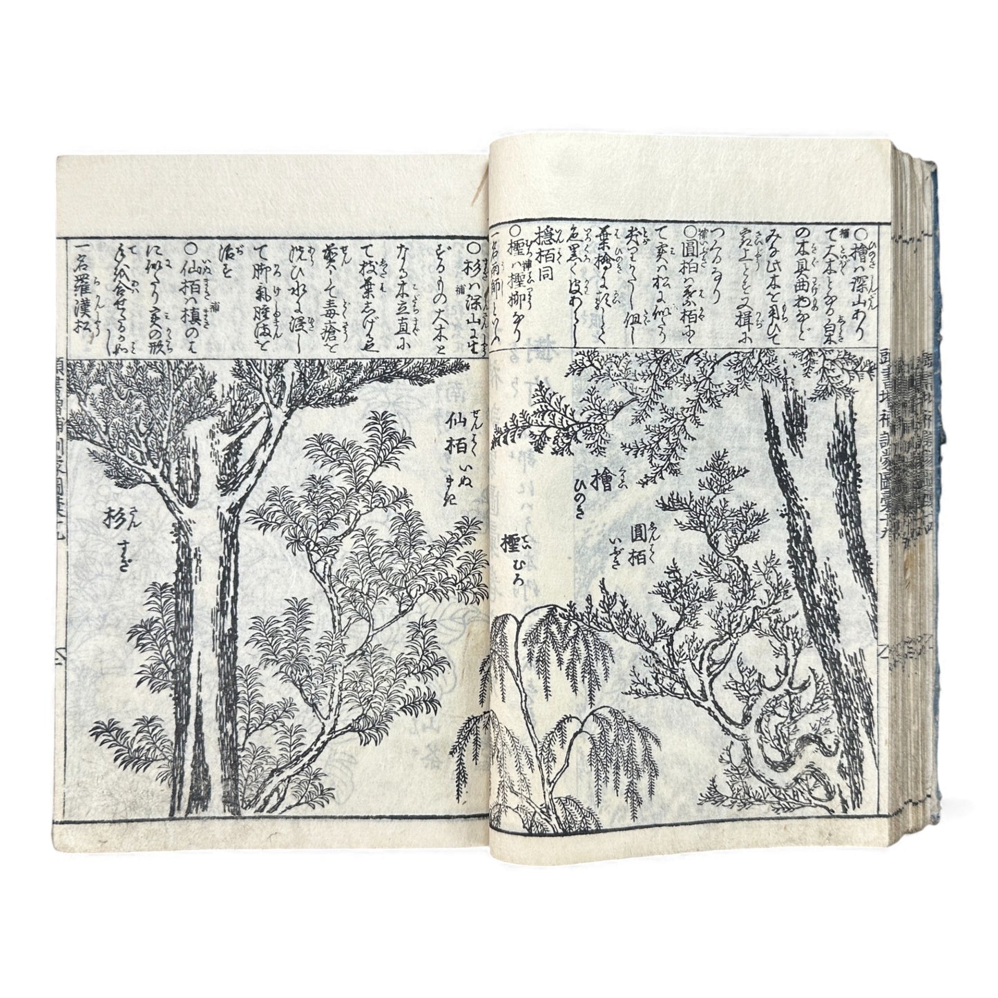訓蒙図彙大成｜Edo Multi-Volume Illustrated Natural History Encyclopedia｜Rare Japanese Woodblock Book 和本 - B122