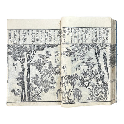 訓蒙図彙大成｜Edo Multi-Volume Illustrated Natural History Encyclopedia｜Rare Japanese Woodblock Book 和本 - B122