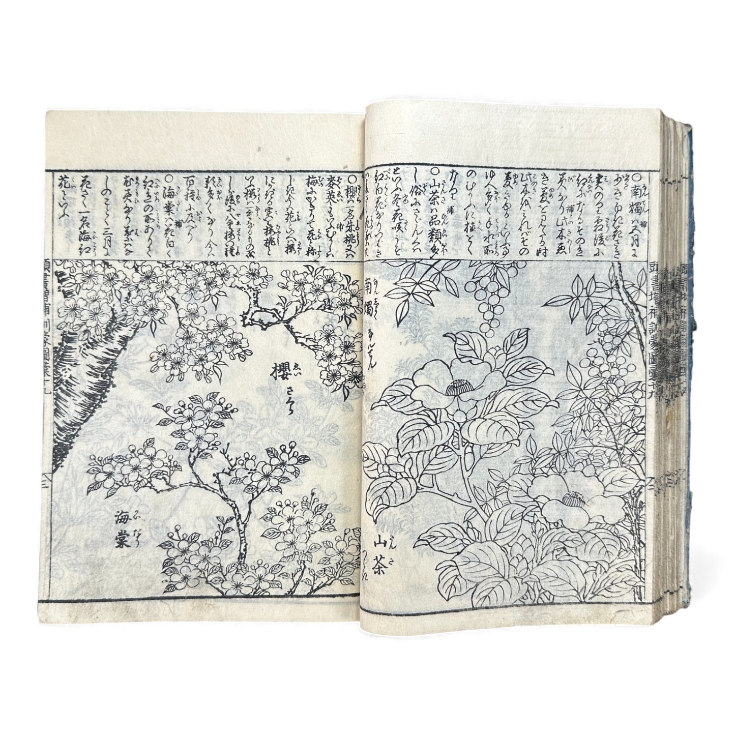 訓蒙図彙大成｜Edo Multi-Volume Illustrated Natural History Encyclopedia｜Rare Japanese Woodblock Book 和本 - B122