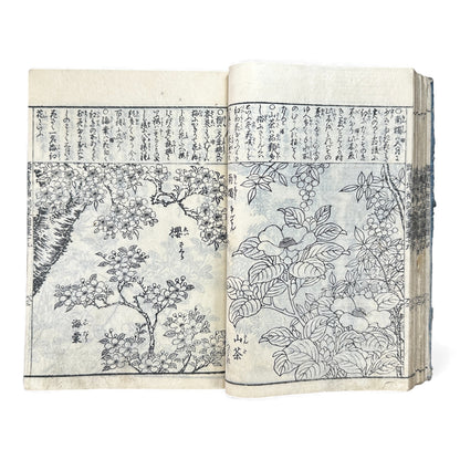 訓蒙図彙大成｜Edo Multi-Volume Illustrated Natural History Encyclopedia｜Rare Japanese Woodblock Book 和本 - B122