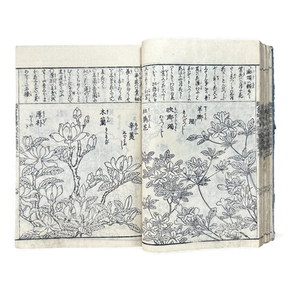 訓蒙図彙大成｜Edo Multi-Volume Illustrated Natural History Encyclopedia｜Rare Japanese Woodblock Book 和本 - B122
