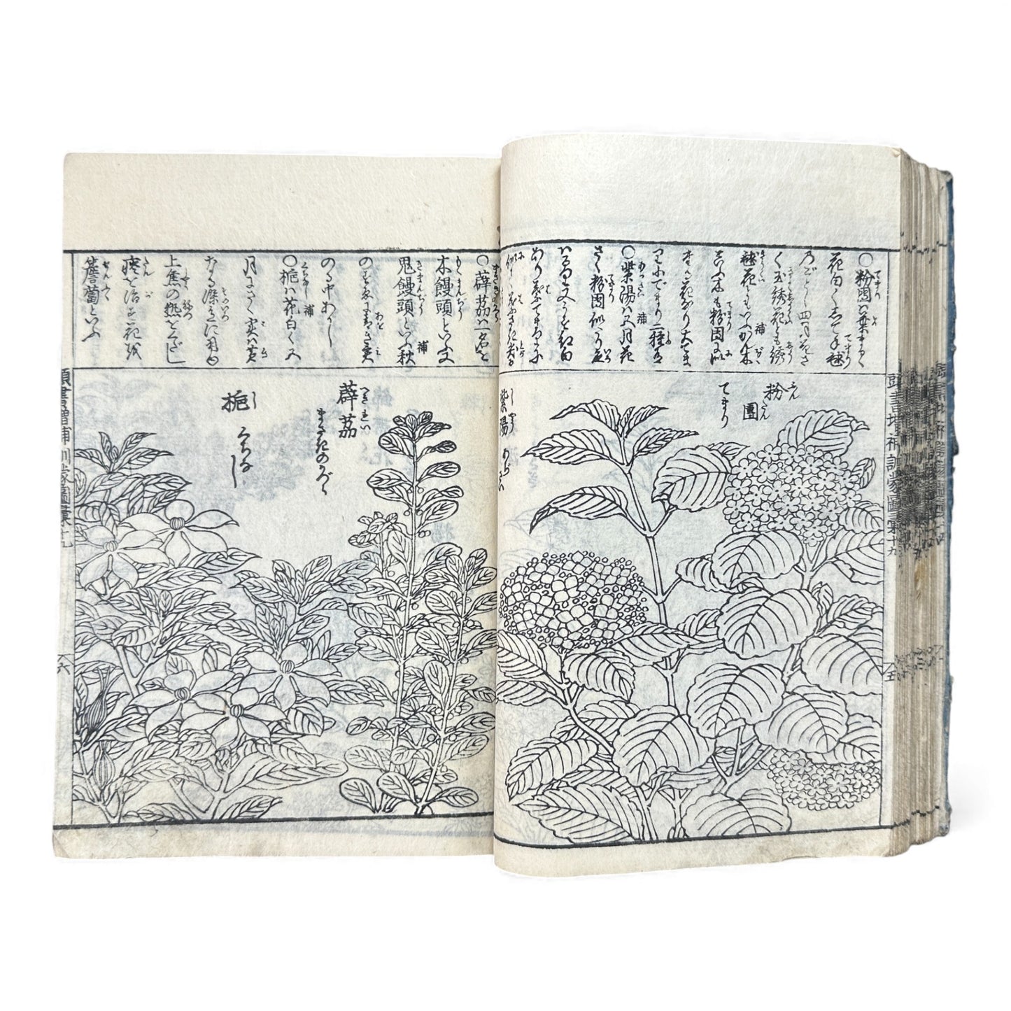 訓蒙図彙大成｜Edo Multi-Volume Illustrated Natural History Encyclopedia｜Rare Japanese Woodblock Book 和本 - B122