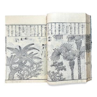 訓蒙図彙大成｜Edo Multi-Volume Illustrated Natural History Encyclopedia｜Rare Japanese Woodblock Book 和本 - B122