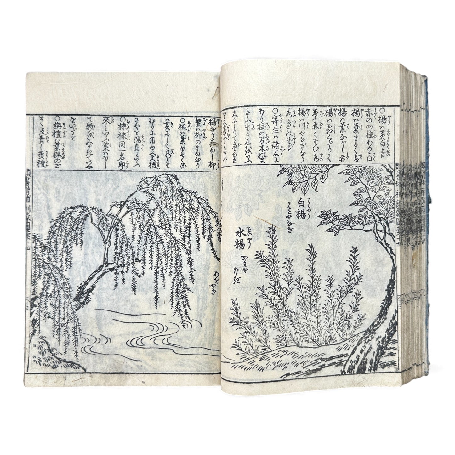 訓蒙図彙大成｜Edo Multi-Volume Illustrated Natural History Encyclopedia｜Rare Japanese Woodblock Book 和本 - B122