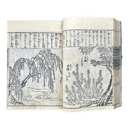 訓蒙図彙大成｜Edo Multi-Volume Illustrated Natural History Encyclopedia｜Rare Japanese Woodblock Book 和本 - B122