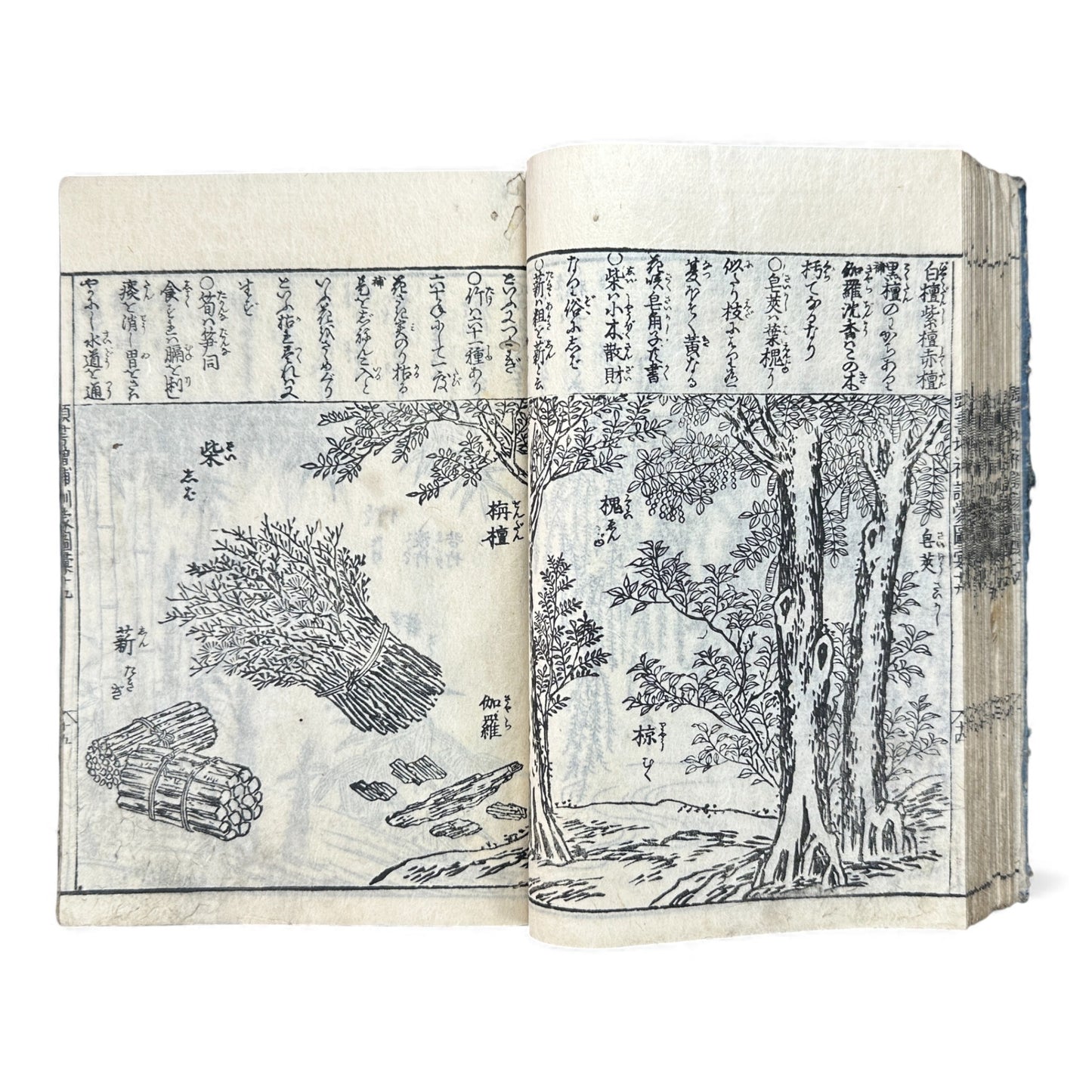 訓蒙図彙大成｜Edo Multi-Volume Illustrated Natural History Encyclopedia｜Rare Japanese Woodblock Book 和本 - B122