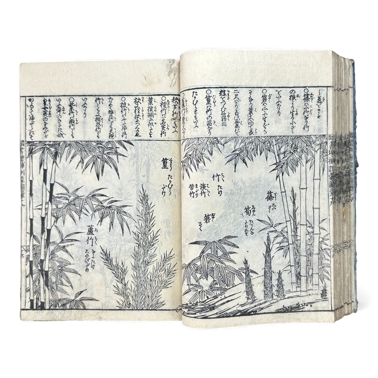 訓蒙図彙大成｜Edo Multi-Volume Illustrated Natural History Encyclopedia｜Rare Japanese Woodblock Book 和本 - B122
