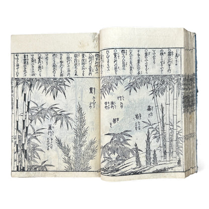 訓蒙図彙大成｜Edo Multi-Volume Illustrated Natural History Encyclopedia｜Rare Japanese Woodblock Book 和本 - B122