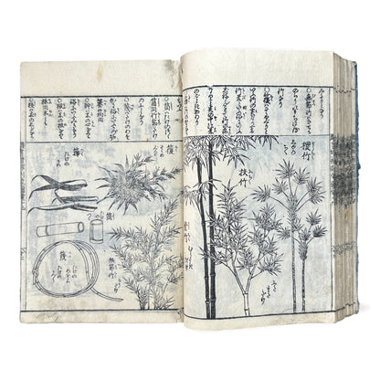 訓蒙図彙大成｜Edo Multi-Volume Illustrated Natural History Encyclopedia｜Rare Japanese Woodblock Book 和本 - B122