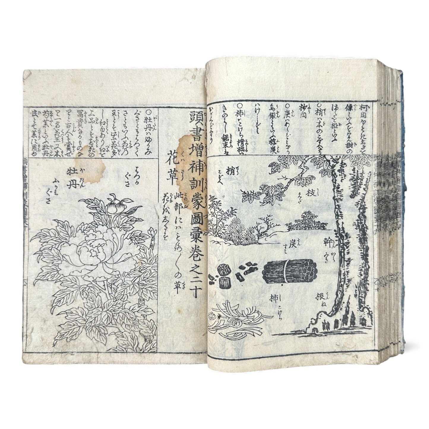 訓蒙図彙大成｜Edo Multi-Volume Illustrated Natural History Encyclopedia｜Rare Japanese Woodblock Book 和本 - B122