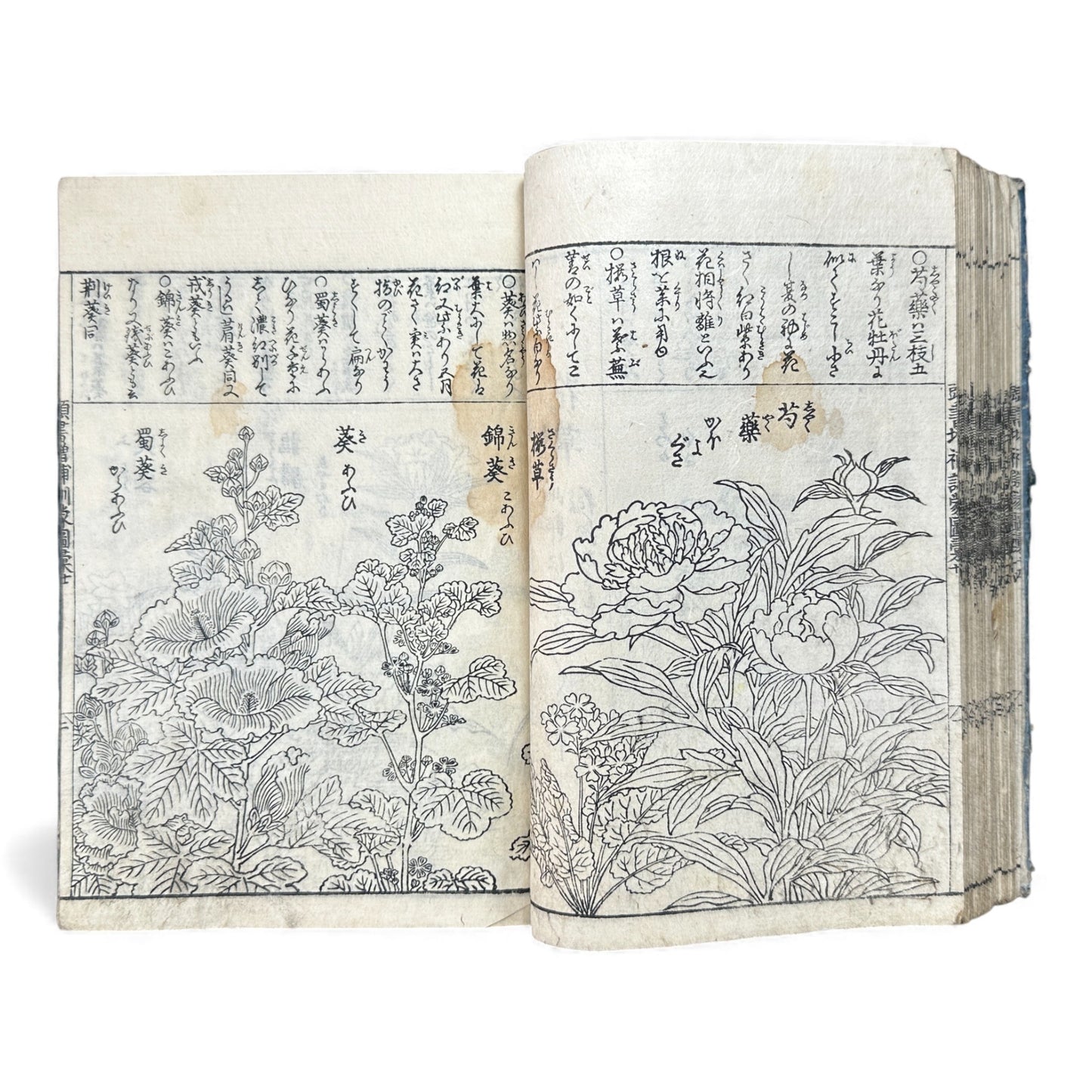 訓蒙図彙大成｜Edo Multi-Volume Illustrated Natural History Encyclopedia｜Rare Japanese Woodblock Book 和本 - B122