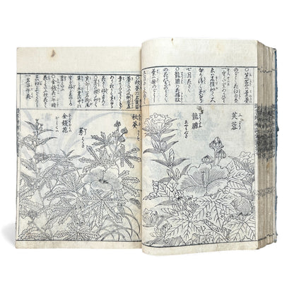 訓蒙図彙大成｜Edo Multi-Volume Illustrated Natural History Encyclopedia｜Rare Japanese Woodblock Book 和本 - B122