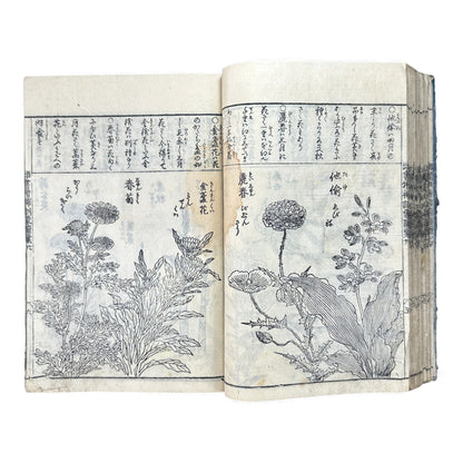 訓蒙図彙大成｜Edo Multi-Volume Illustrated Natural History Encyclopedia｜Rare Japanese Woodblock Book 和本 - B122