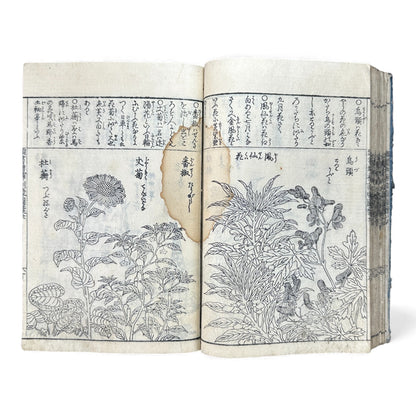 訓蒙図彙大成｜Edo Multi-Volume Illustrated Natural History Encyclopedia｜Rare Japanese Woodblock Book 和本 - B122