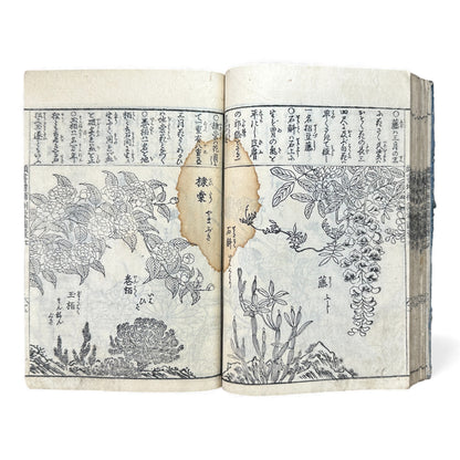 訓蒙図彙大成｜Edo Multi-Volume Illustrated Natural History Encyclopedia｜Rare Japanese Woodblock Book 和本 - B122