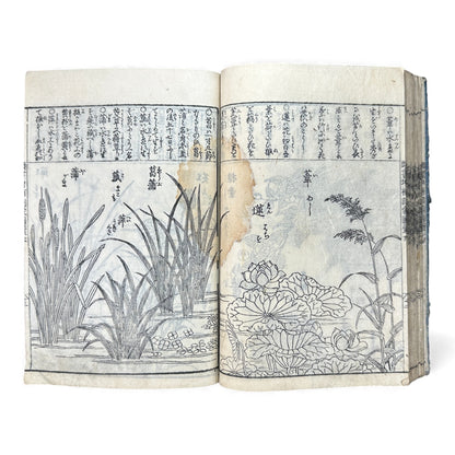 訓蒙図彙大成｜Edo Multi-Volume Illustrated Natural History Encyclopedia｜Rare Japanese Woodblock Book 和本 - B122