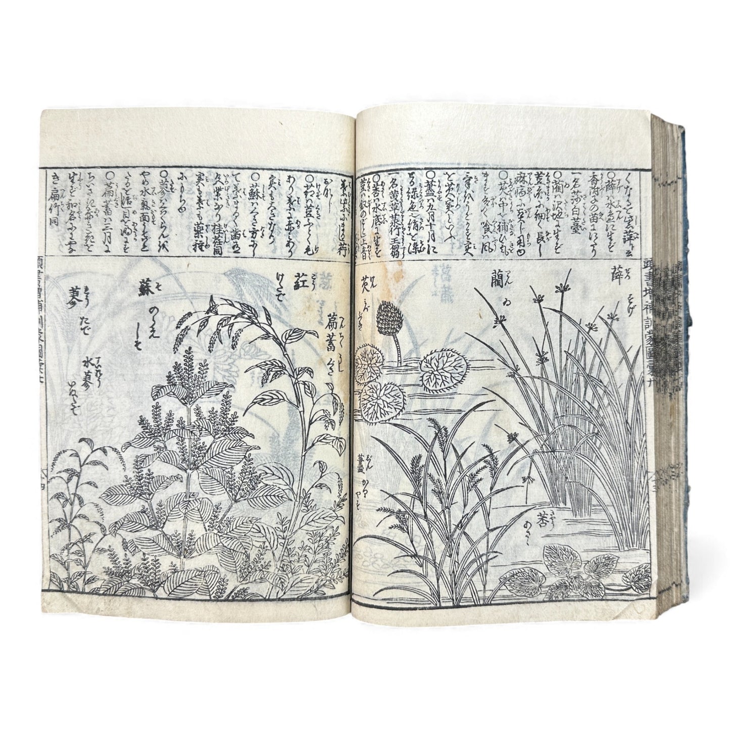 訓蒙図彙大成｜Edo Multi-Volume Illustrated Natural History Encyclopedia｜Rare Japanese Woodblock Book 和本 - B122