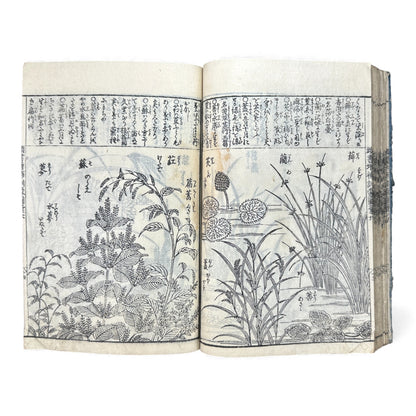 訓蒙図彙大成｜Edo Multi-Volume Illustrated Natural History Encyclopedia｜Rare Japanese Woodblock Book 和本 - B122