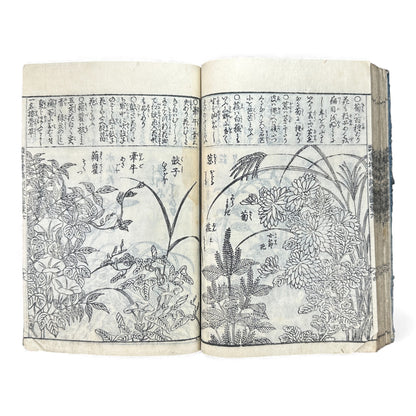 訓蒙図彙大成｜Edo Multi-Volume Illustrated Natural History Encyclopedia｜Rare Japanese Woodblock Book 和本 - B122