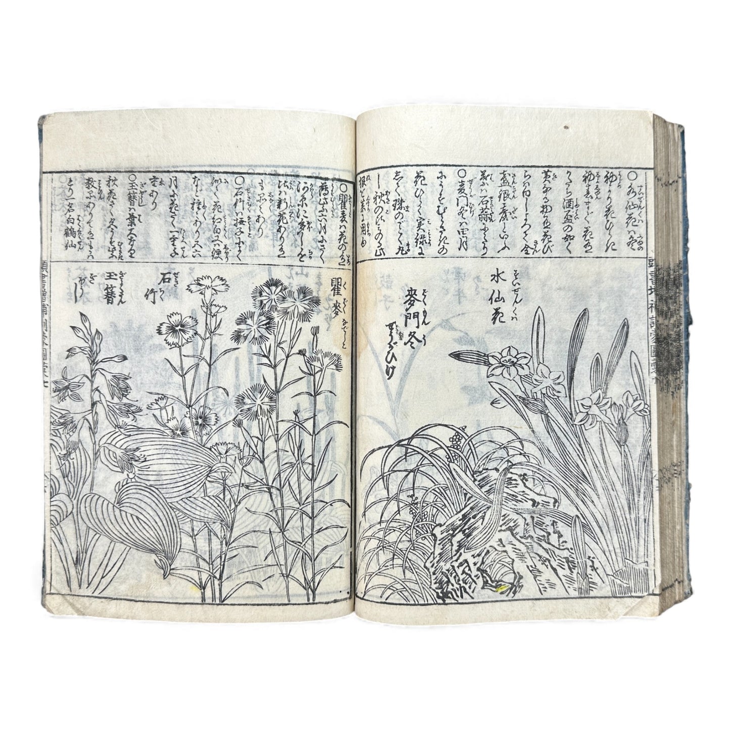 訓蒙図彙大成｜Edo Multi-Volume Illustrated Natural History Encyclopedia｜Rare Japanese Woodblock Book 和本 - B122