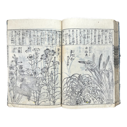 訓蒙図彙大成｜Edo Multi-Volume Illustrated Natural History Encyclopedia｜Rare Japanese Woodblock Book 和本 - B122