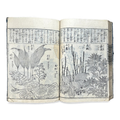 訓蒙図彙大成｜Edo Multi-Volume Illustrated Natural History Encyclopedia｜Rare Japanese Woodblock Book 和本 - B122