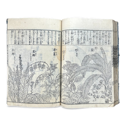 訓蒙図彙大成｜Edo Multi-Volume Illustrated Natural History Encyclopedia｜Rare Japanese Woodblock Book 和本 - B122