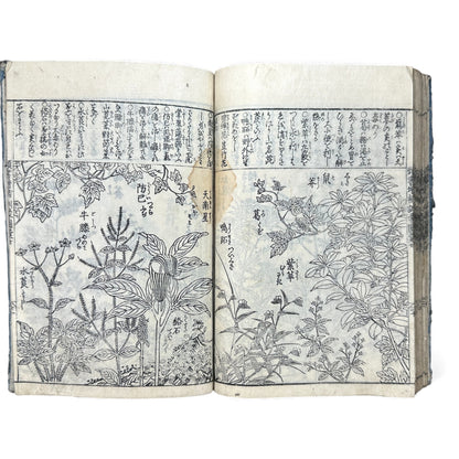 訓蒙図彙大成｜Edo Multi-Volume Illustrated Natural History Encyclopedia｜Rare Japanese Woodblock Book 和本 - B122