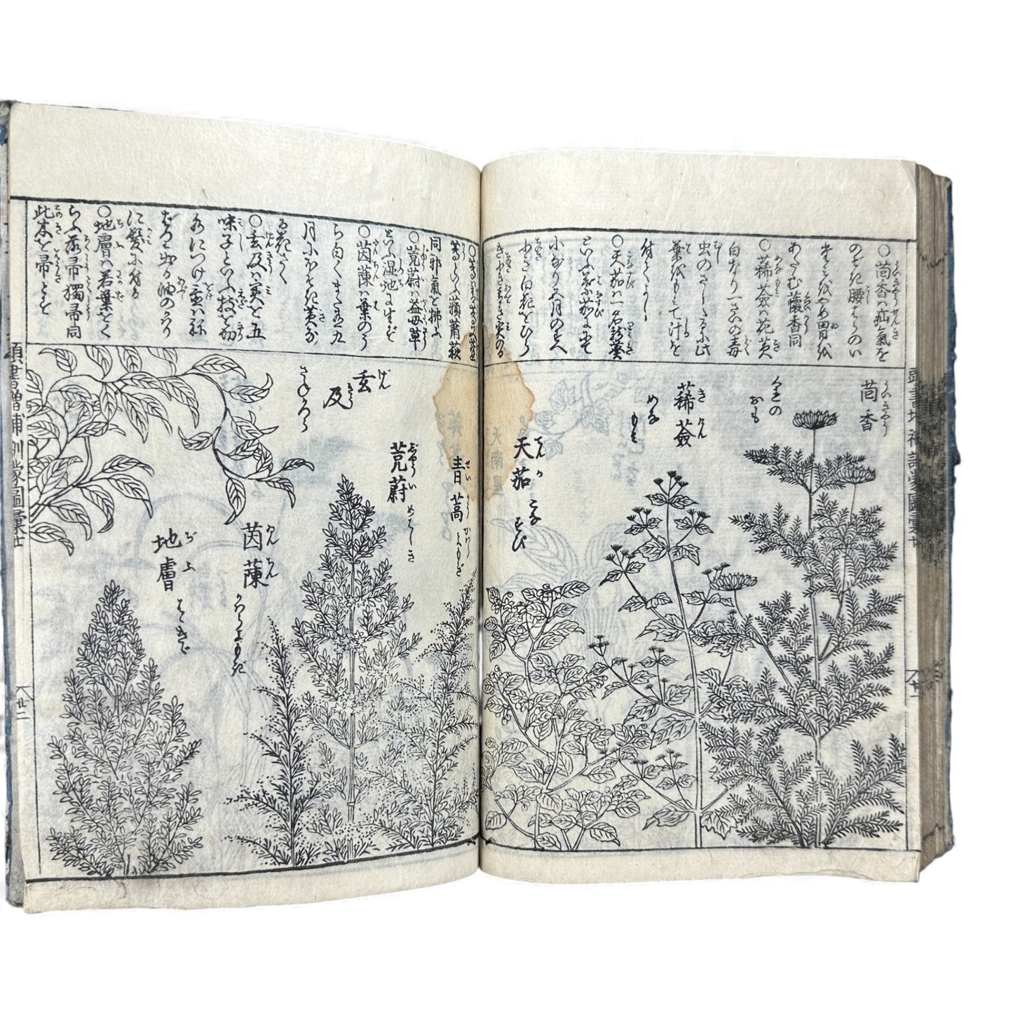 訓蒙図彙大成｜Edo Multi-Volume Illustrated Natural History Encyclopedia｜Rare Japanese Woodblock Book 和本 - B122