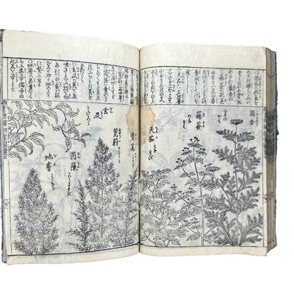 訓蒙図彙大成｜Edo Multi-Volume Illustrated Natural History Encyclopedia｜Rare Japanese Woodblock Book 和本 - B122
