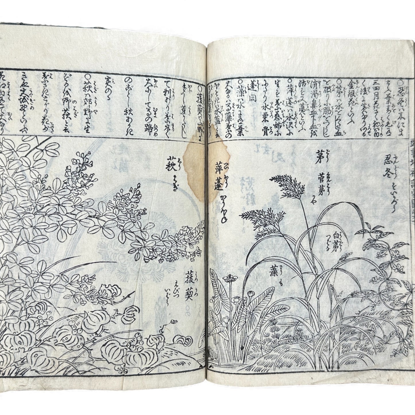 訓蒙図彙大成｜Edo Multi-Volume Illustrated Natural History Encyclopedia｜Rare Japanese Woodblock Book 和本 - B122
