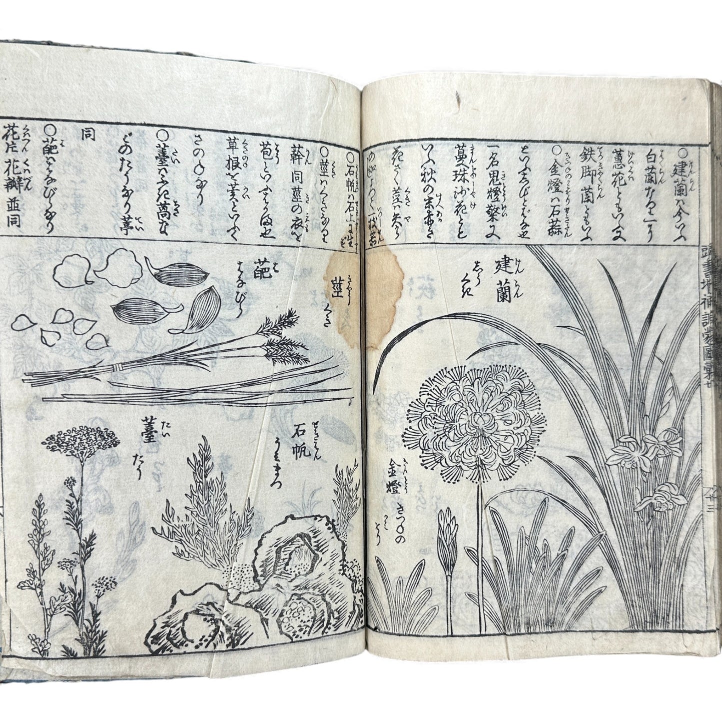 訓蒙図彙大成｜Edo Multi-Volume Illustrated Natural History Encyclopedia｜Rare Japanese Woodblock Book 和本 - B122