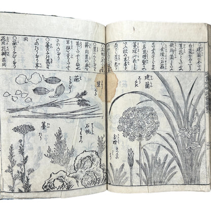 訓蒙図彙大成｜Edo Multi-Volume Illustrated Natural History Encyclopedia｜Rare Japanese Woodblock Book 和本 - B122