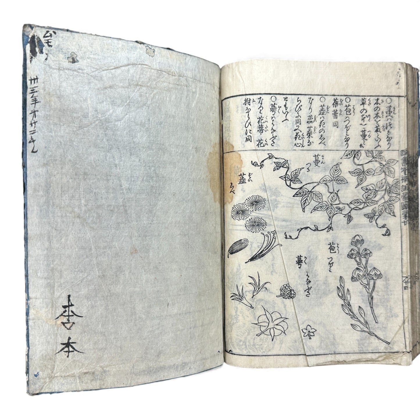 訓蒙図彙大成｜Edo Multi-Volume Illustrated Natural History Encyclopedia｜Rare Japanese Woodblock Book 和本 - B122